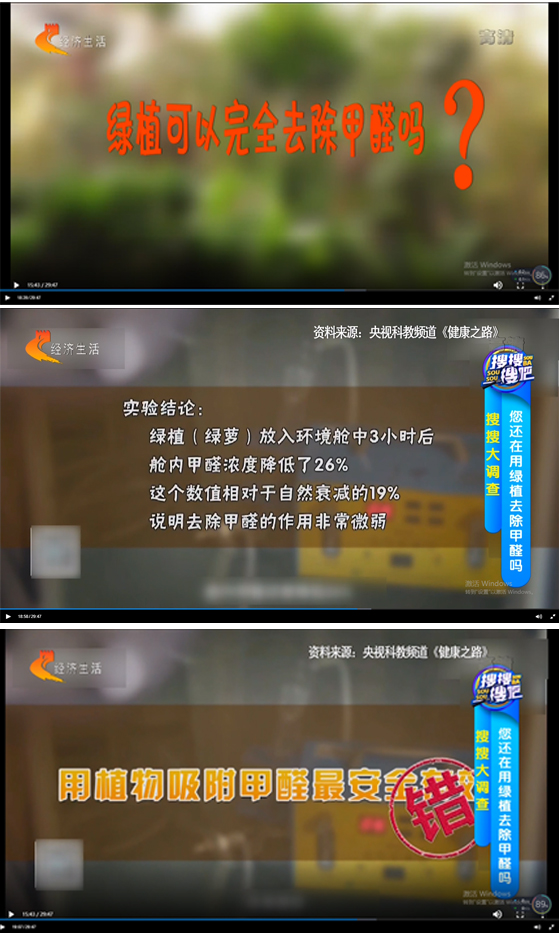 綠植真能除甲醛嗎？