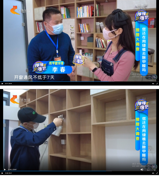 綠植真能除甲醛嗎？